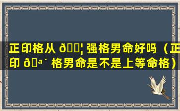 正印格从 🐦 强格男命好吗（正印 🪴 格男命是不是上等命格）